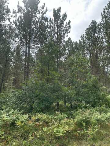 On LEE RD, Tomahawk, WI 54487
