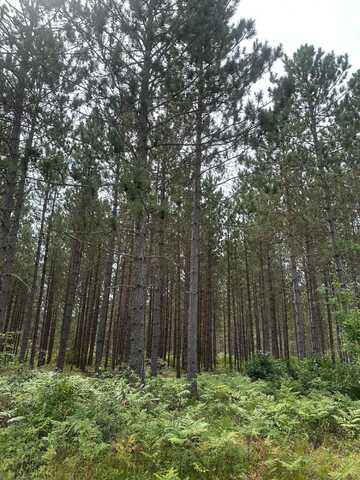 On LEE RD, Tomahawk, WI 54487