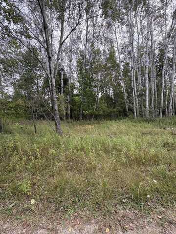 Lot455,456 Coocpa- Lake Miramachi, Evart, MI 49631