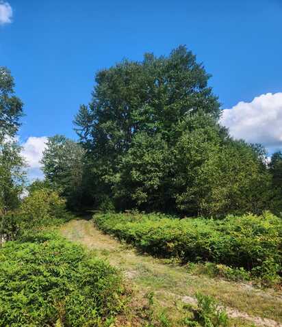 21616 13 Mile Road, Leroy, MI 49655