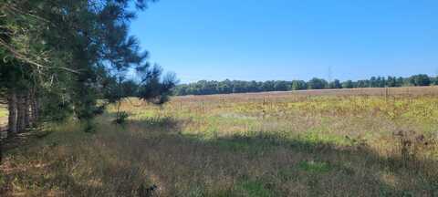 N 88th Ave Avenue, Pentwater, MI 49449