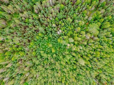 V/L US-02 Highway, Gould City, MI 49838