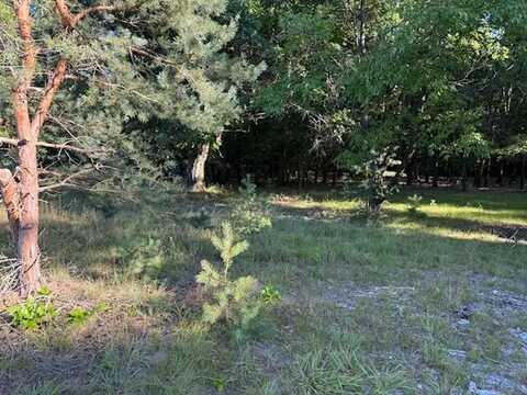 10616 S Walnut Road, Grant, MI 49327