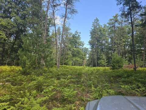 00 W 4 Mile Road, Irons, MI 49644