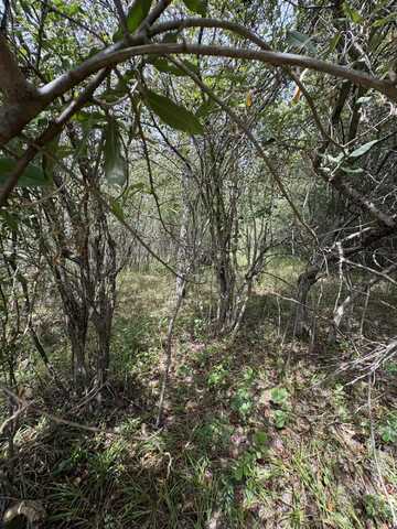 LOT 519 & 520 Lake Miramachi, Evart, MI 49631