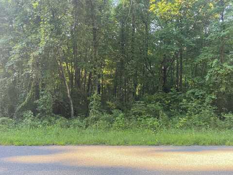13164 Beckwith Drive NE, Lowell, MI 49331