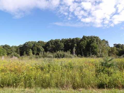 2747 M Drive S, Athens, MI 49011