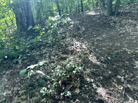 Newago Trail, New Era, MI 49446