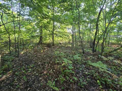 Vl Oaklea Avenue, Muskegon, MI 49442