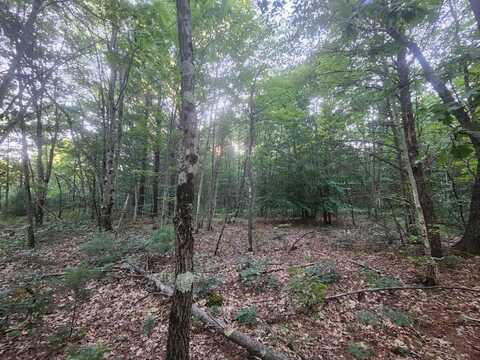 V/L Whitmire Road, Holton, MI 49425
