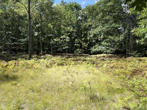 0 5 Mile Road, Hesperia, MI 49421