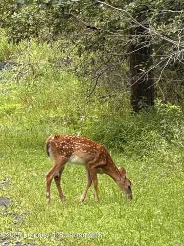Lots 13-18 Park Ave 13, Pocono Summit, PA 18346
