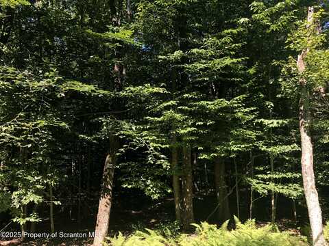 H-1128 E Creek View Drive, Clifton Twp, PA 18424