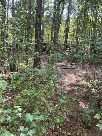 Craddieth Rd, Steens, MS 39776