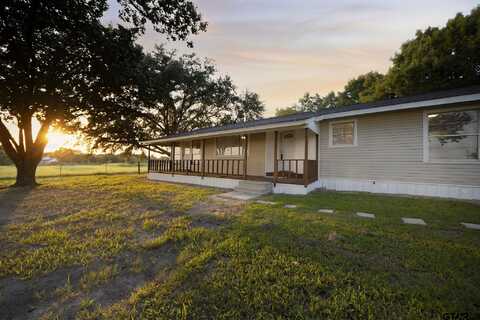 300 Vz County Road 4211, Ben Wheeler, TX 75754