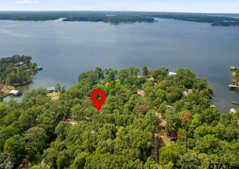 147 County Road 2608, Pittsburg, TX 75686