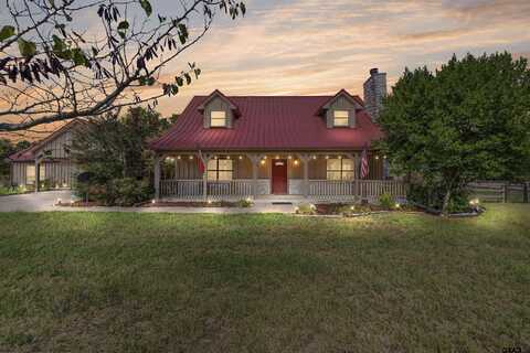 357 Swannerland Dr, Scroggins, TX 75480