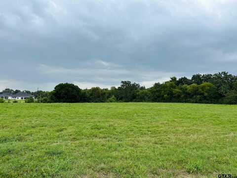 TDB CR 192, Tyler, TX 75703