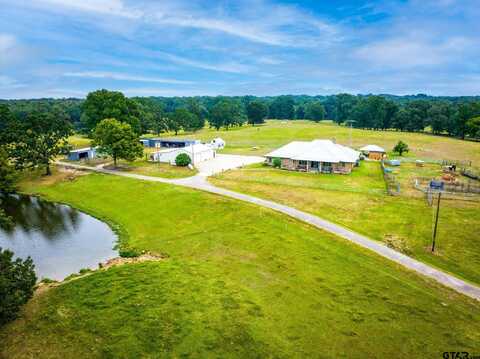 2213 CR 3140, Cookville, TX 75558