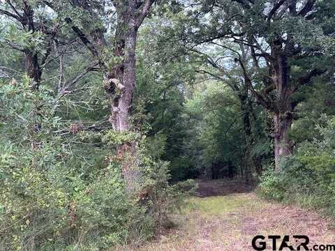 TBD W HWY 80, Mineola, TX 75773