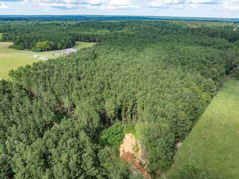 Parcel C J Runnels Rd., Petal, MS 39465