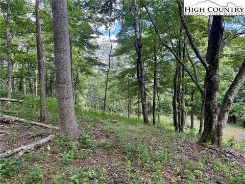 Tbd Mystery Mountain Drive, West Jefferson, NC 28694