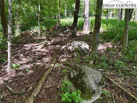 Tbd Mystery Mountain Drive, West Jefferson, NC 28694