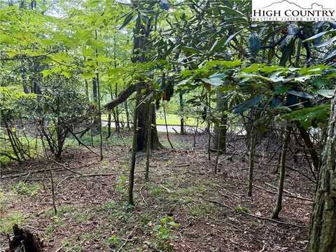 Tbd Mystery Mountain Drive, West Jefferson, NC 28694