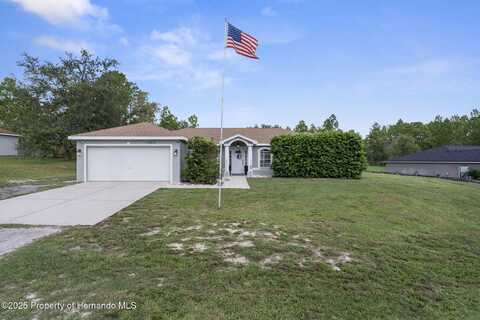 15315 Scaup Duck Avenue, Weeki Wachee, FL 34614