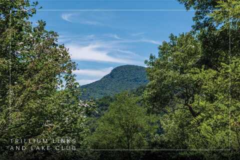 Lot 1 Trillium Ridge Road, Cullowhee, NC 28723