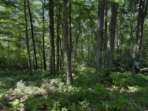239 Cross Vine Drive, Tuckasegee, NC 28783