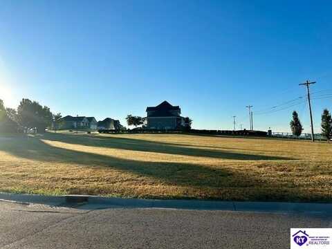 Lot 17 Three Wood Lane, Campbellsville, KY 42718