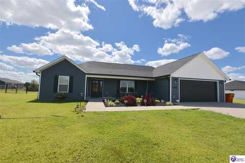 555 Cecilia Smiths Mill Road, Cecilia, KY 42724