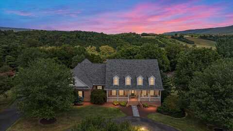 256 CLIFFSIDE DR, EDINBURG, VA 22824