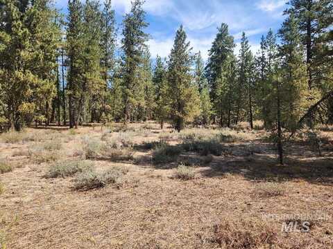 Tbd N Diamond Bar Place, Featherville, ID 83647