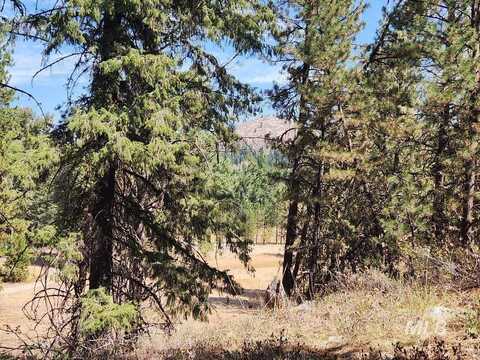 Tbd N Diamond Bar Place, Featherville, ID 83647