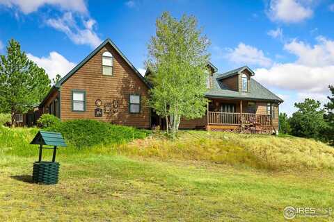 98 Deadhorse Mountain Ct, Livermore, CO 80536