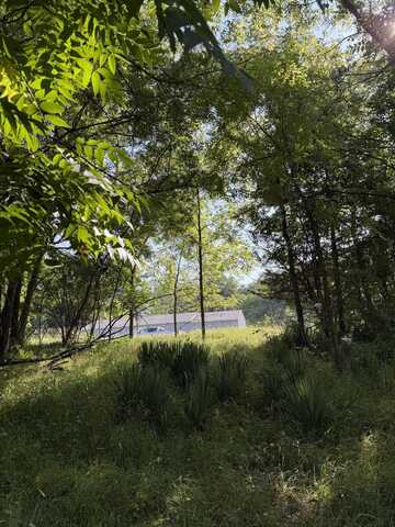 178 Griswold Street, Hillsdale, MI 49242