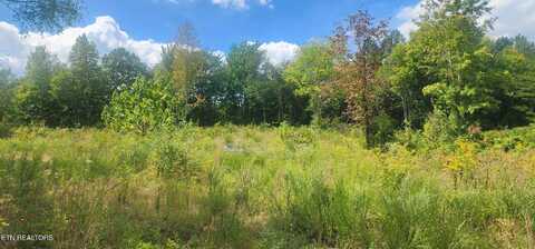 Clifty Cr Rd, Winfield, TN 37892