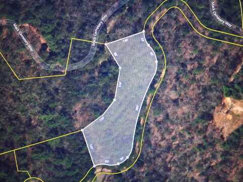 Dogwood Stand, Hartford, TN 37753
