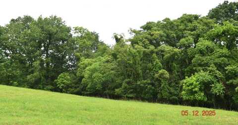 Lot 230 Harbor View, Mooresburg, TN 37811