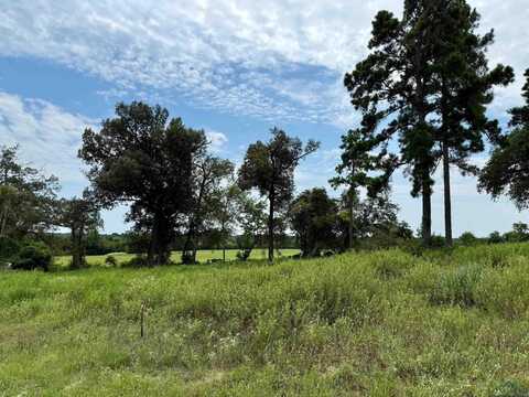 Lot 27 CR 3545, Hawkins, TX 75765