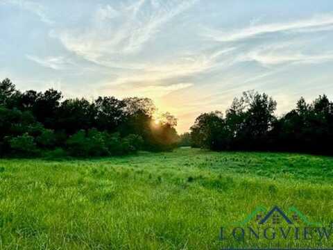 N FM 1002 E, Winnsboro, TX 75494