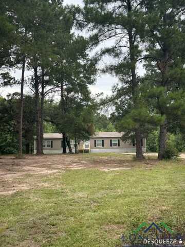 1240 County Road 4031, Newton, TX 75966