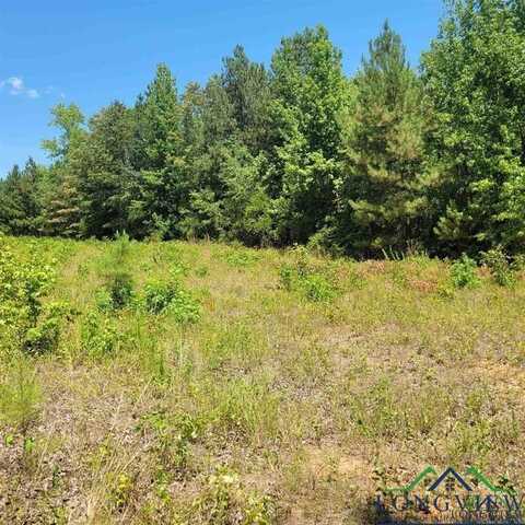 Driskell Bridge RD, Harleton, TX 75651