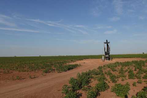 0 FM 597, Abernathy, TX 79311