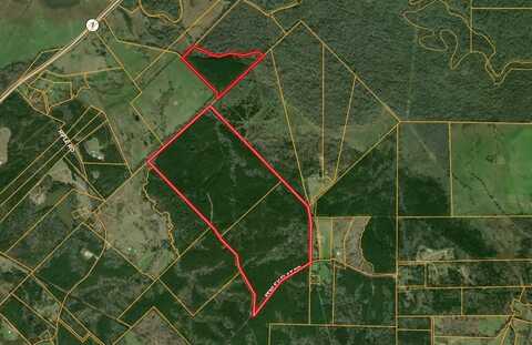 Parcel ID 30383 Fenley Flat Road, Pollok, TX 75969