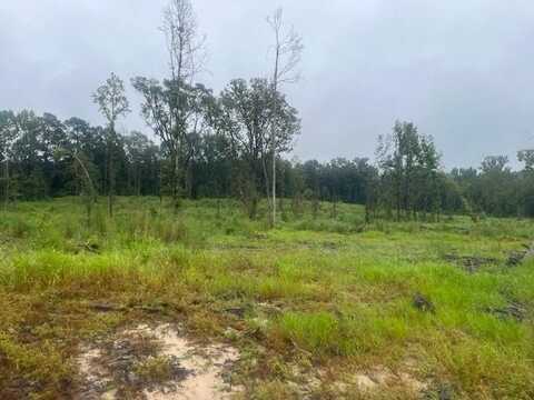60 Forest Glen, Laurel, MS 39443