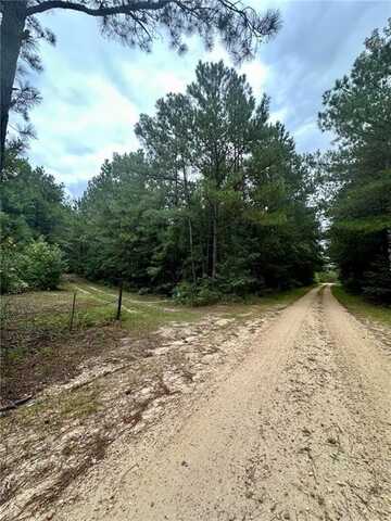 1400 GLASSY MILL ROAD, AUBURN, AL 38630