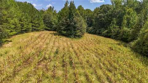 0 AL HIGHWAY 77, ROANOKE, AL 36274